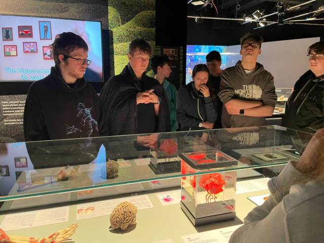 Výstava Body Worlds v Praze